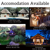 Indigenous Bapedi Bush  and Tea Tour